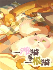 一滩猫与一根猫漫画