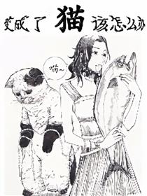 变成了猫该怎么办漫画