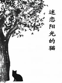 迷恋阳光的猫漫画